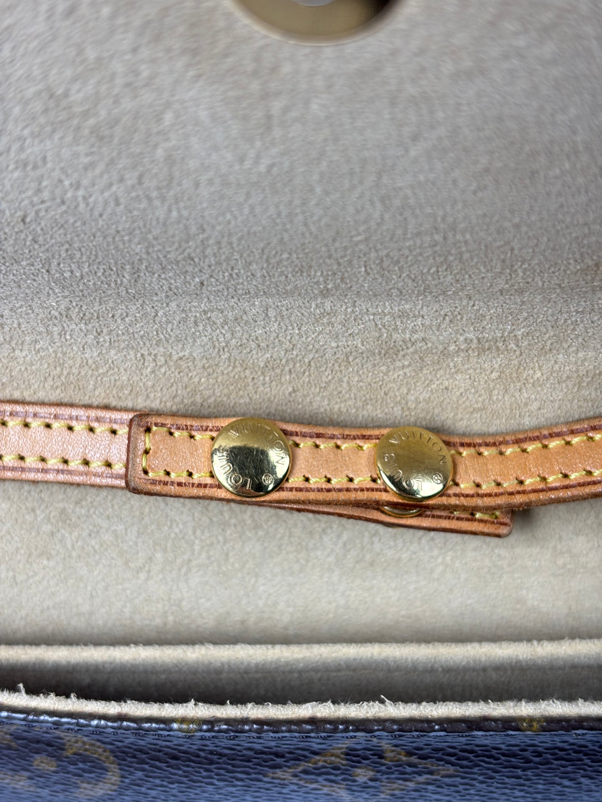 Louis Vuitton Twin GM