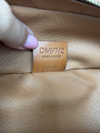 Celine Vanity Crossbody Bag
