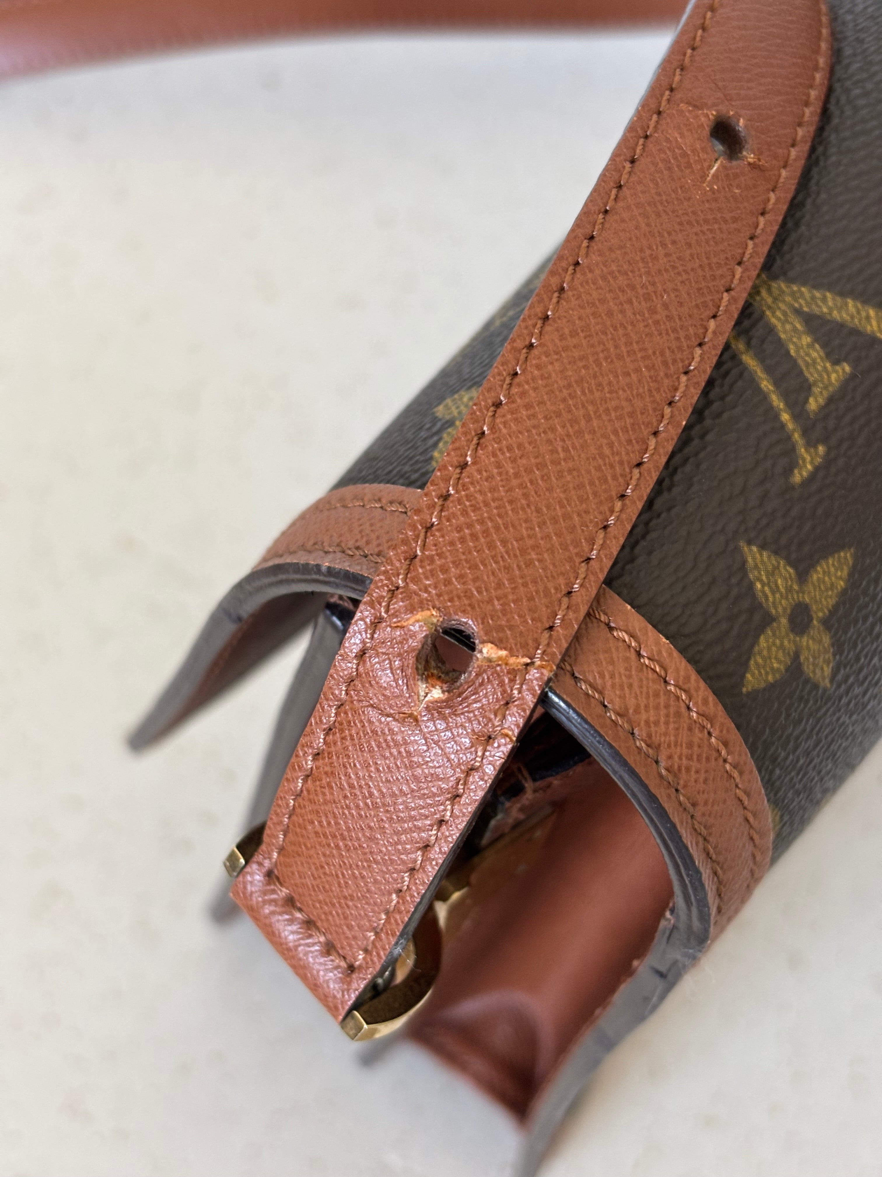 Louis Vuitton Raspail Bag