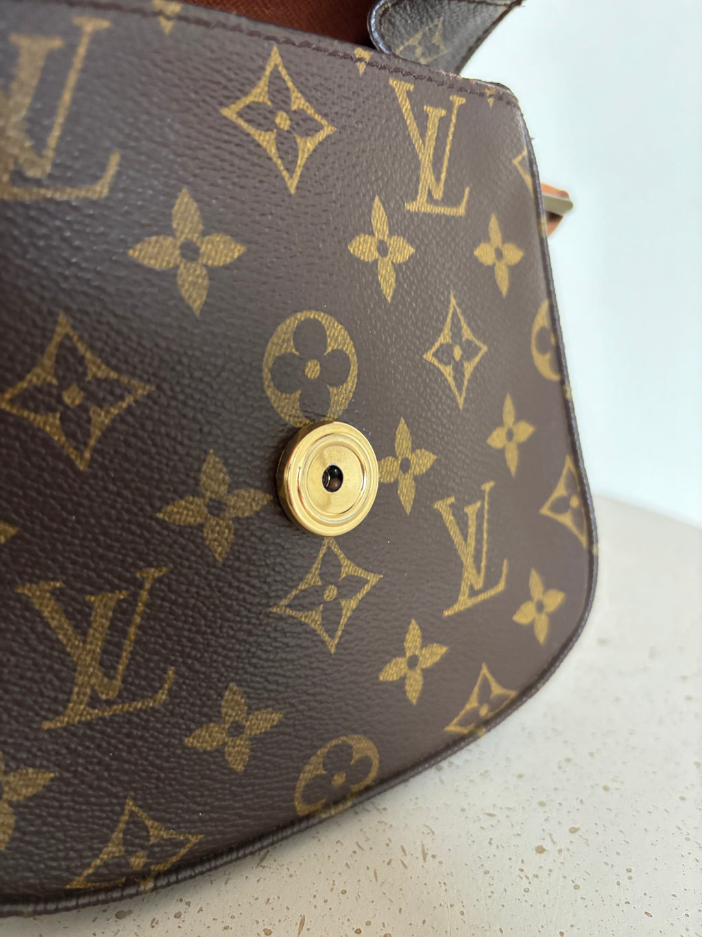 Louis Vuitton Saint Cloud PM