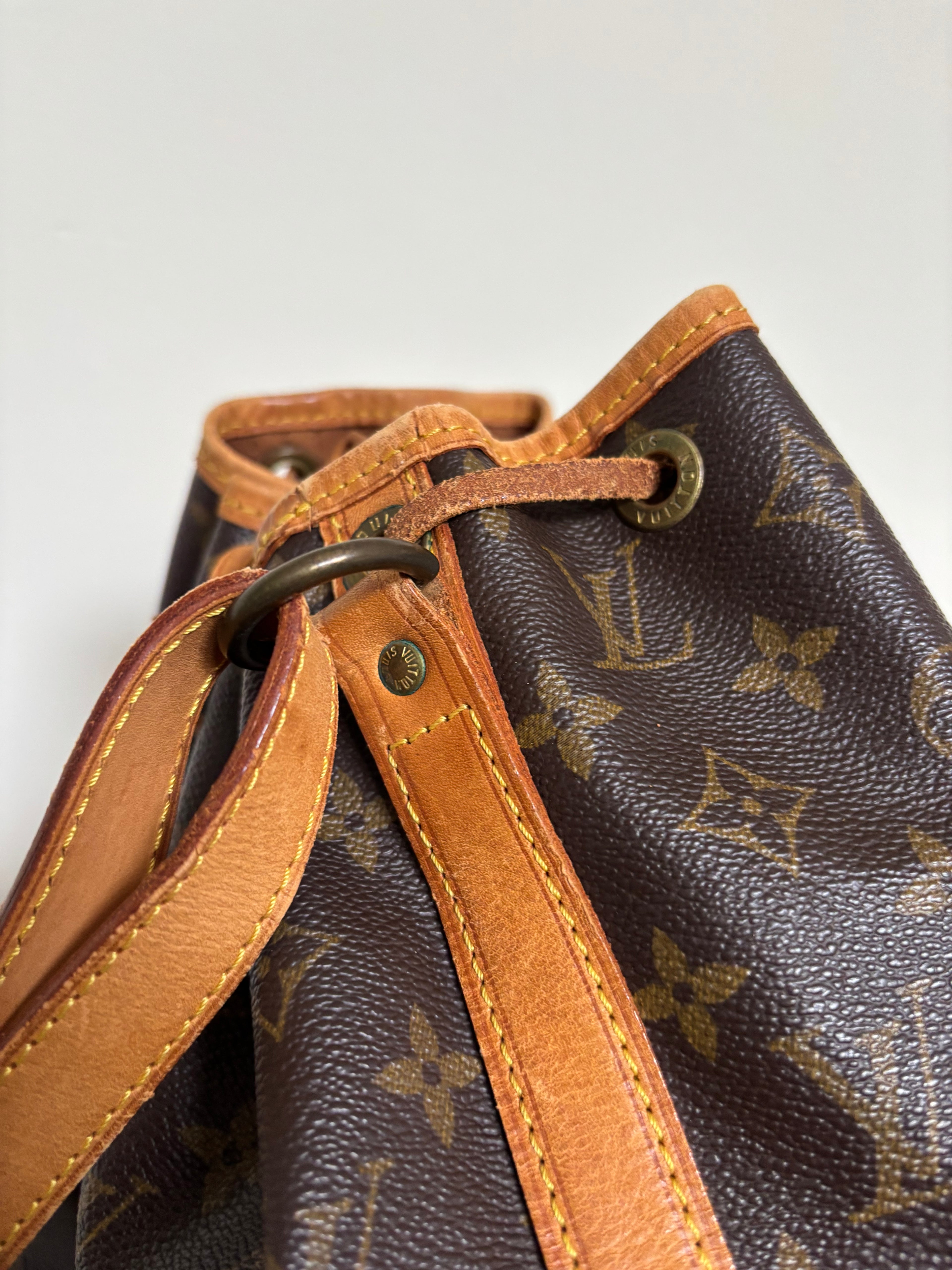 Louis Vuitton Petit Noé Bag