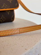 Louis Vuitton Twin GM