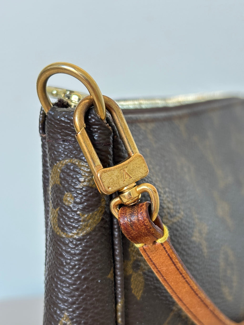 Louis Vuitton Pochette Accessoires