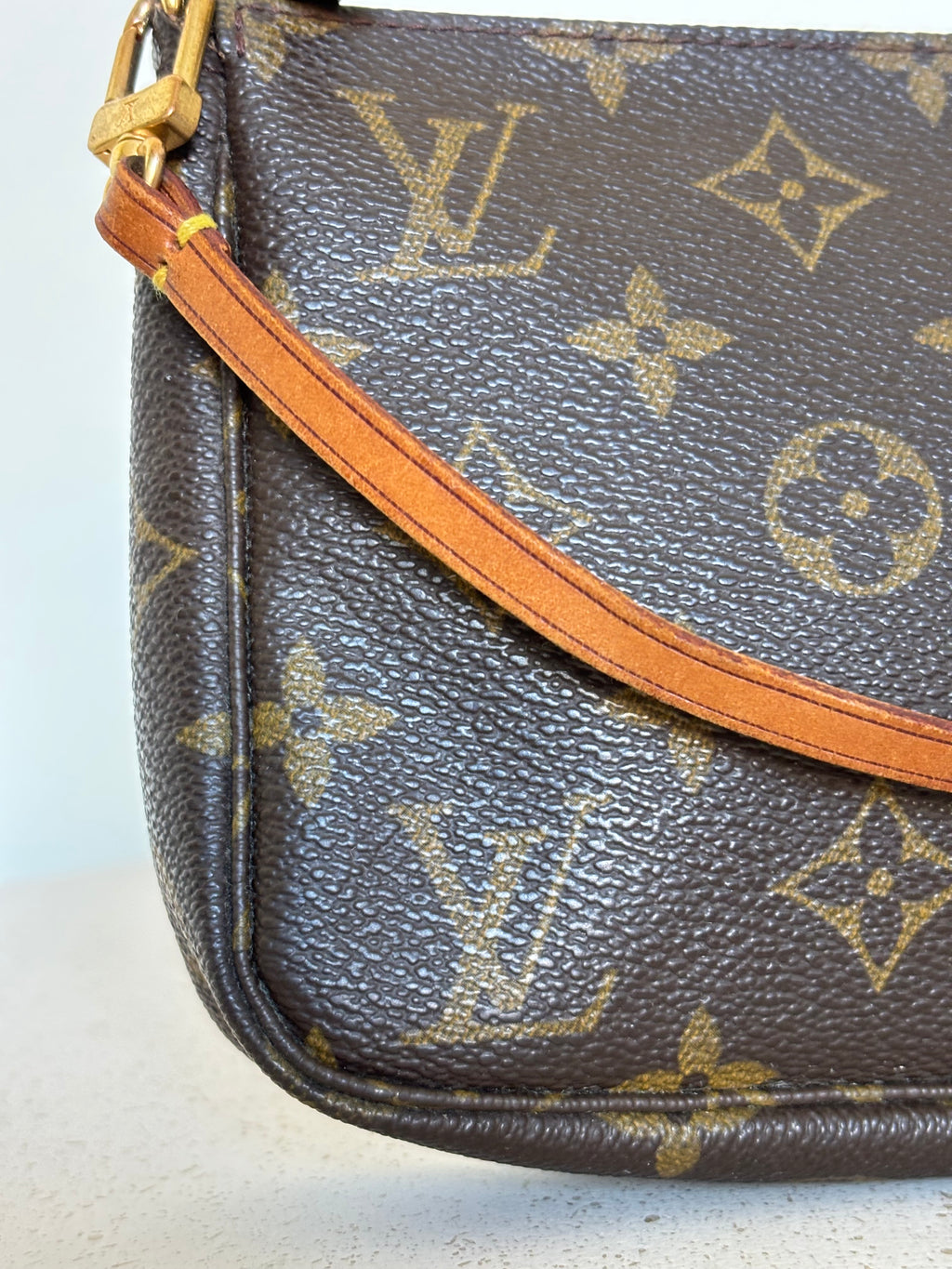 Louis Vuitton Pochette Accessoires