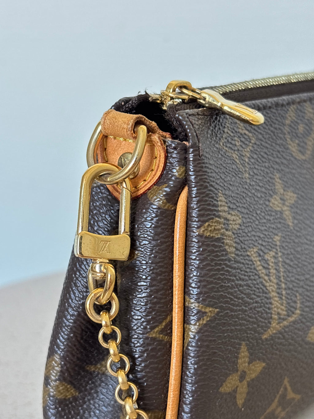 Louis Vuitton Eva Pochette