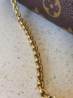 Louis Vuitton Eva Pochette
