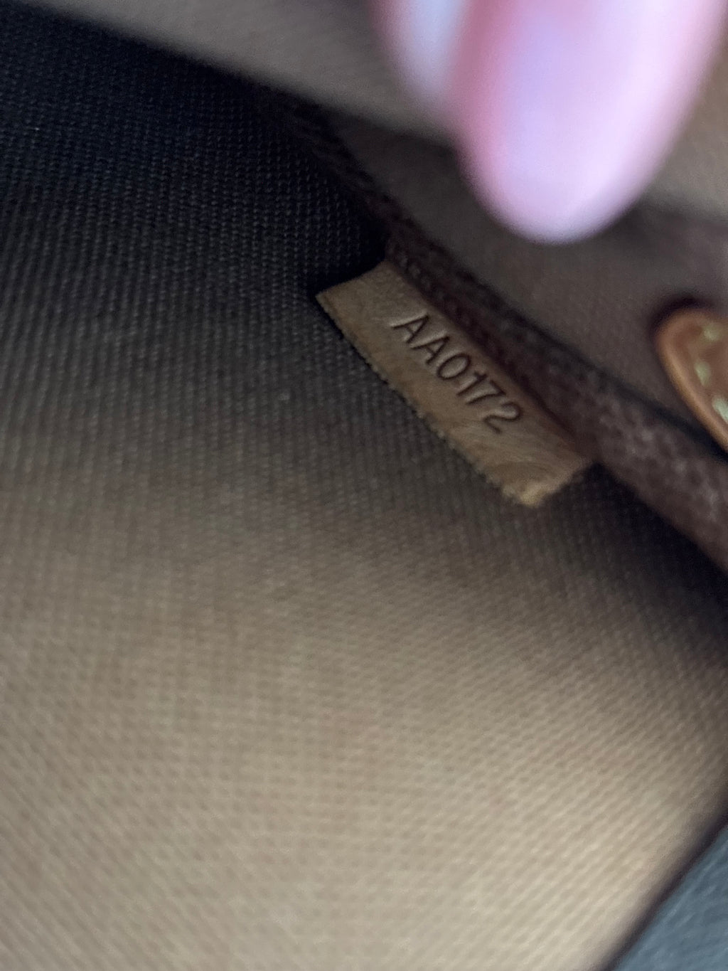 Louis Vuitton Eva Pochette