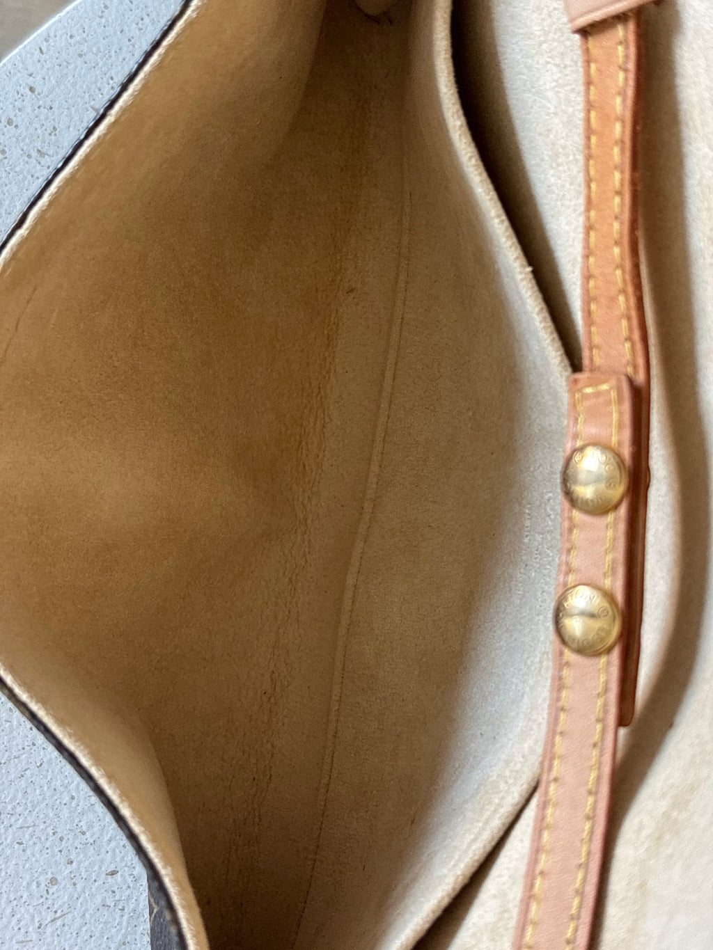 Louis Vuitton Twin Pochette GM