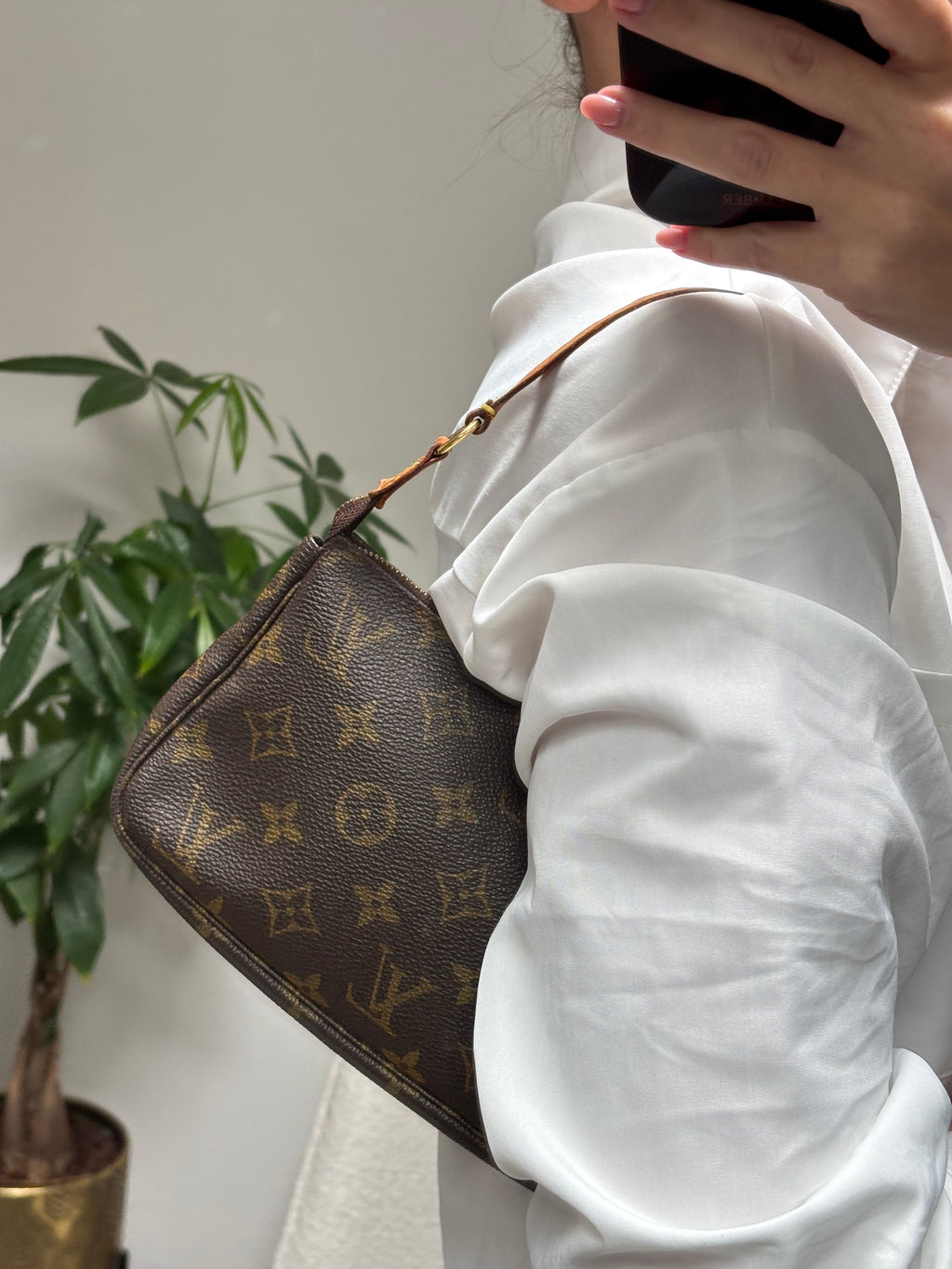 Louis Vuitton Pochette Accessoires