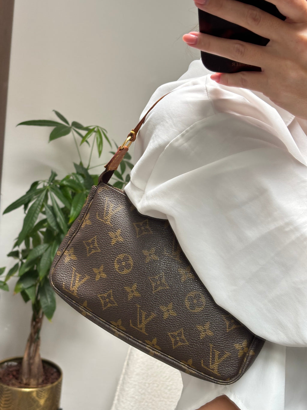 Louis Vuitton Pochette Accessoires