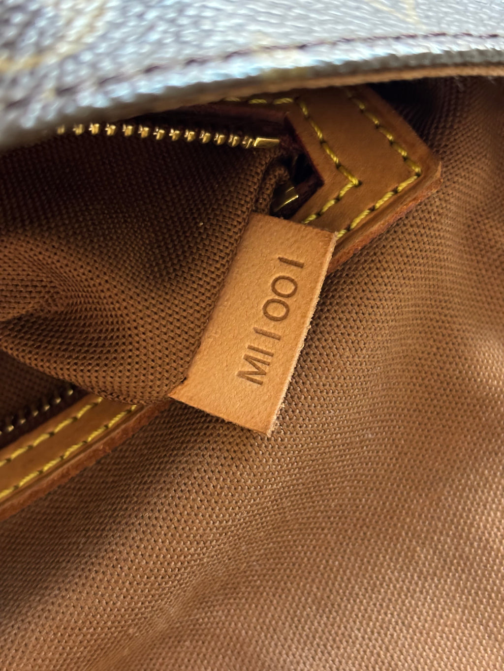 Louis Vuitton Mini Looping