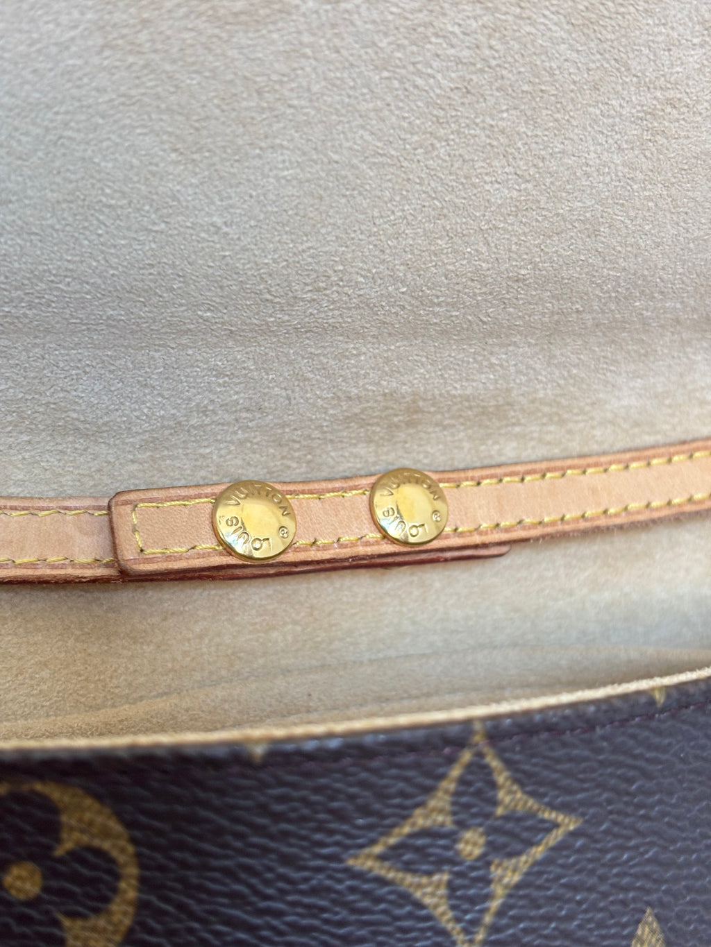 Louis Vuitton Twin Pochette GM