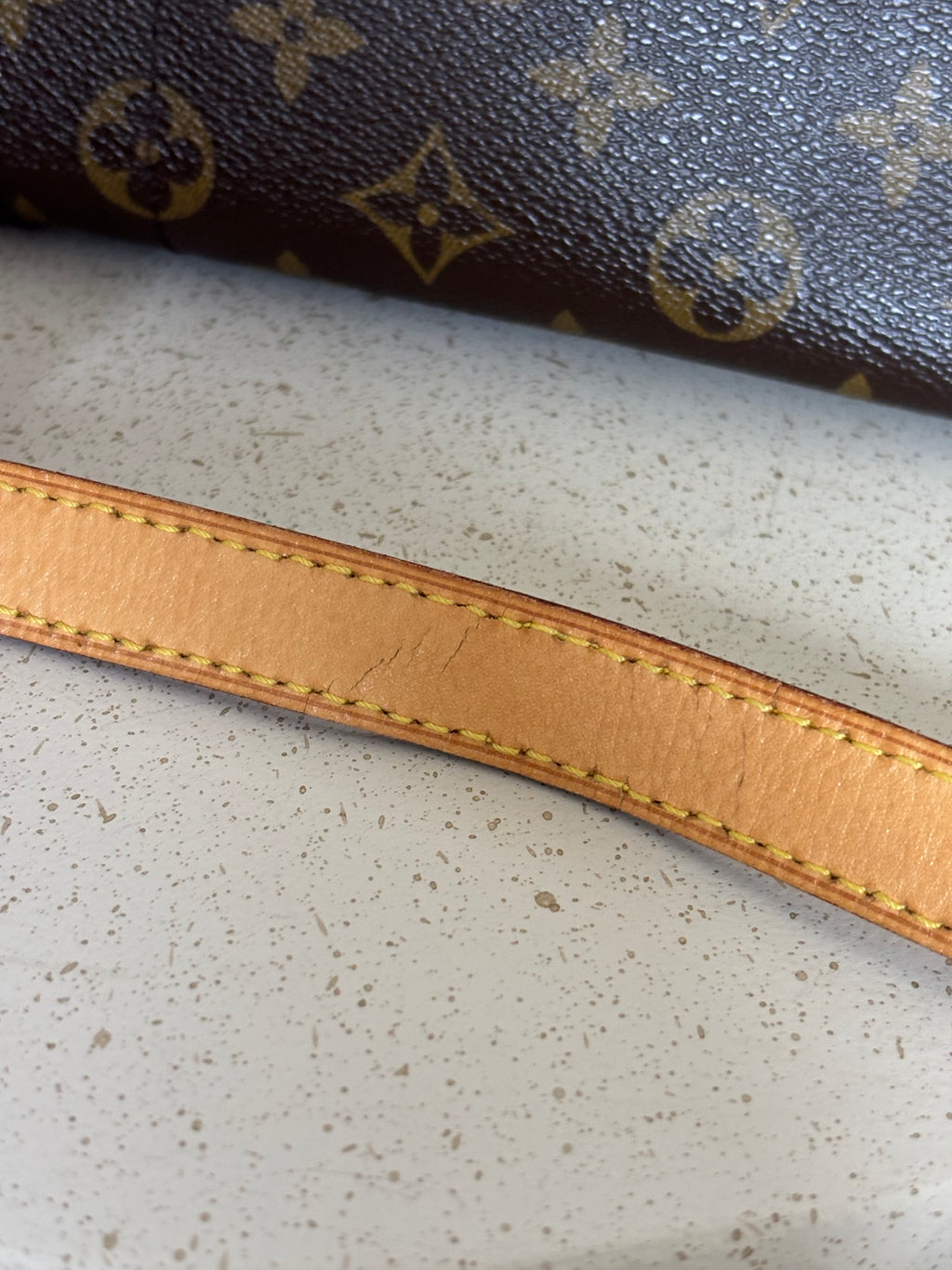 Louis Vuitton Monogram Popincourt Long