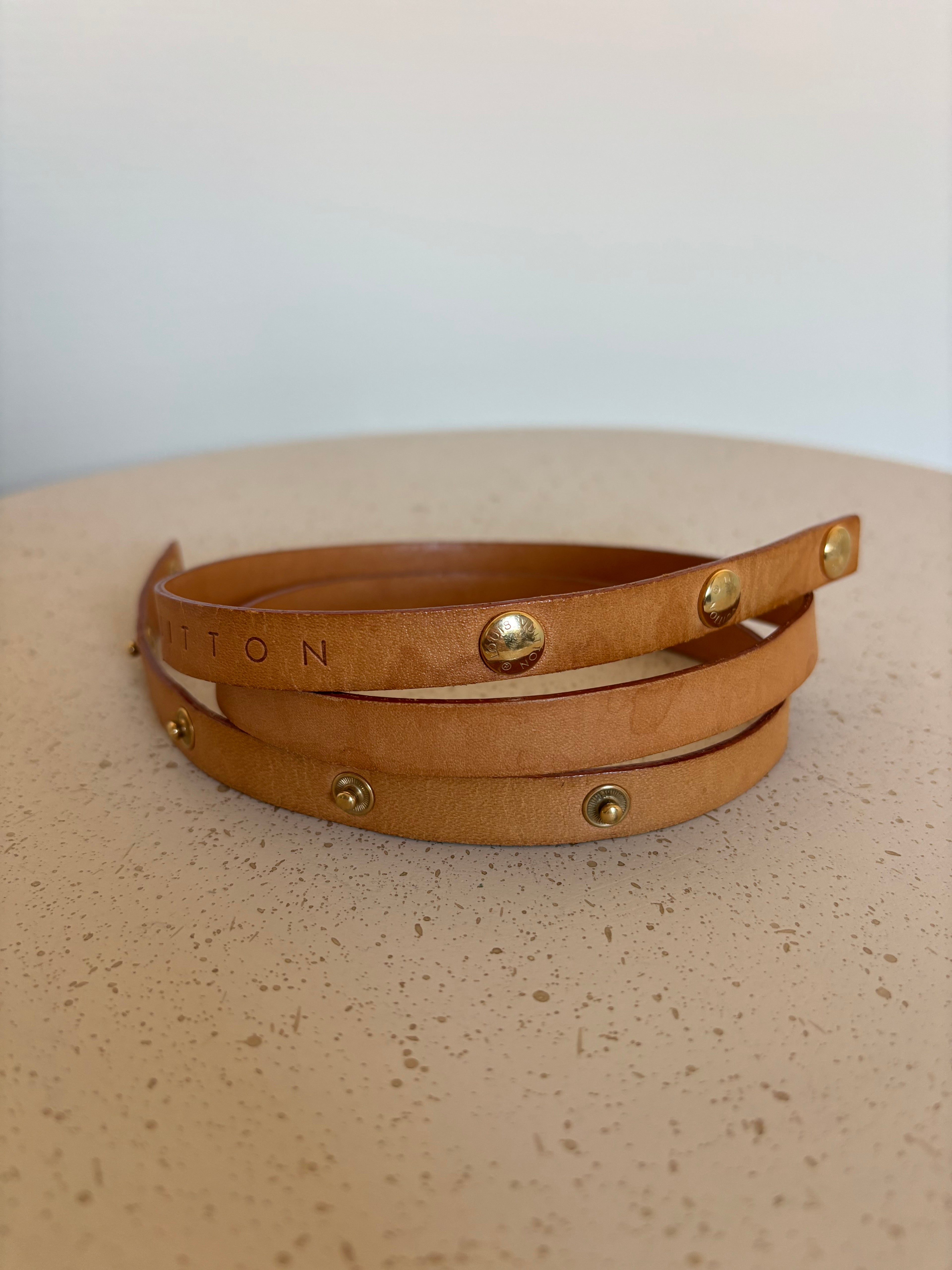 Louis Vuitton Florentine Waist Bag