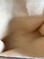 Louis Vuitton Florentine Waist Bag