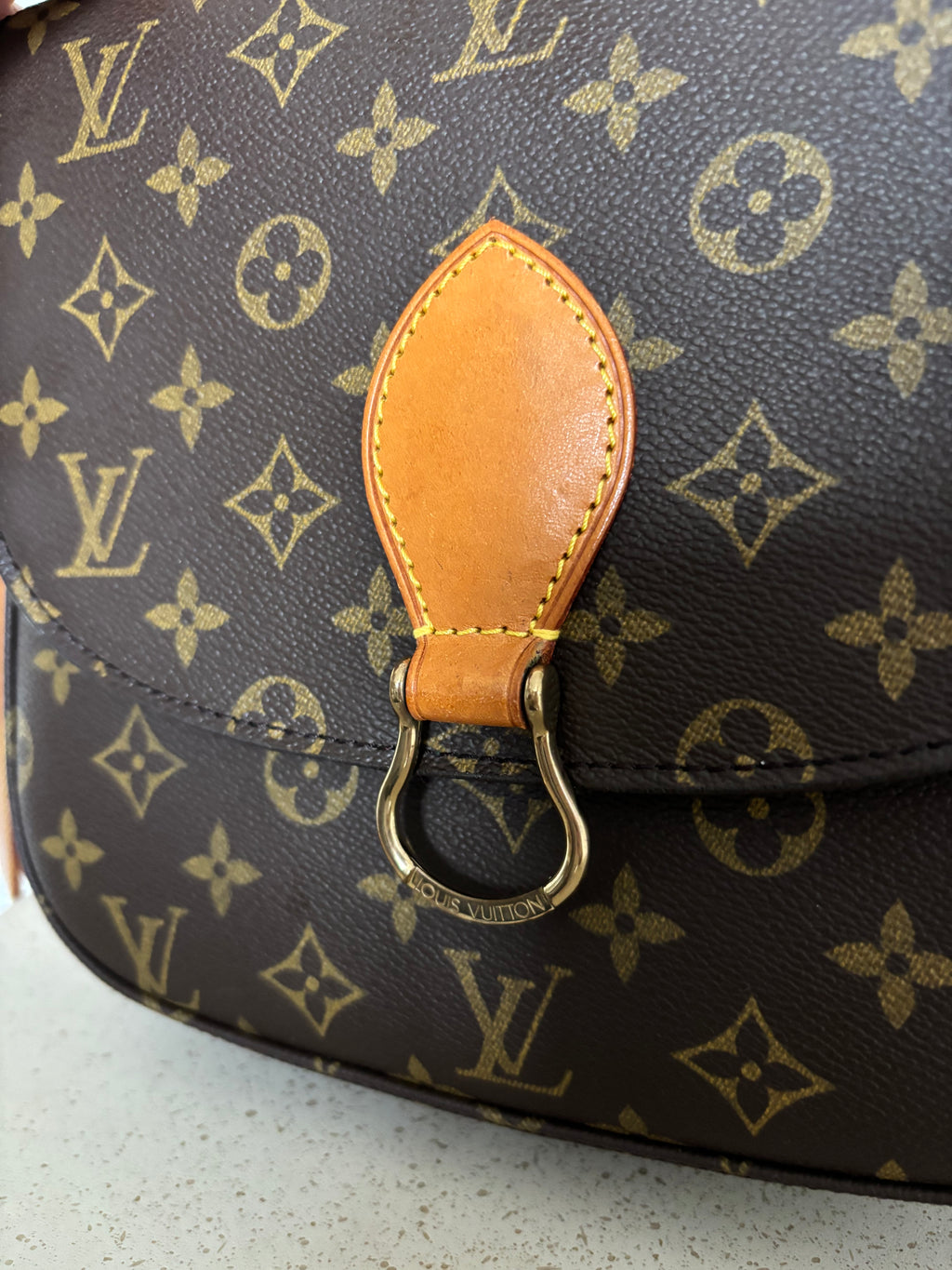 Louis Vuitton Saint Cloud GM