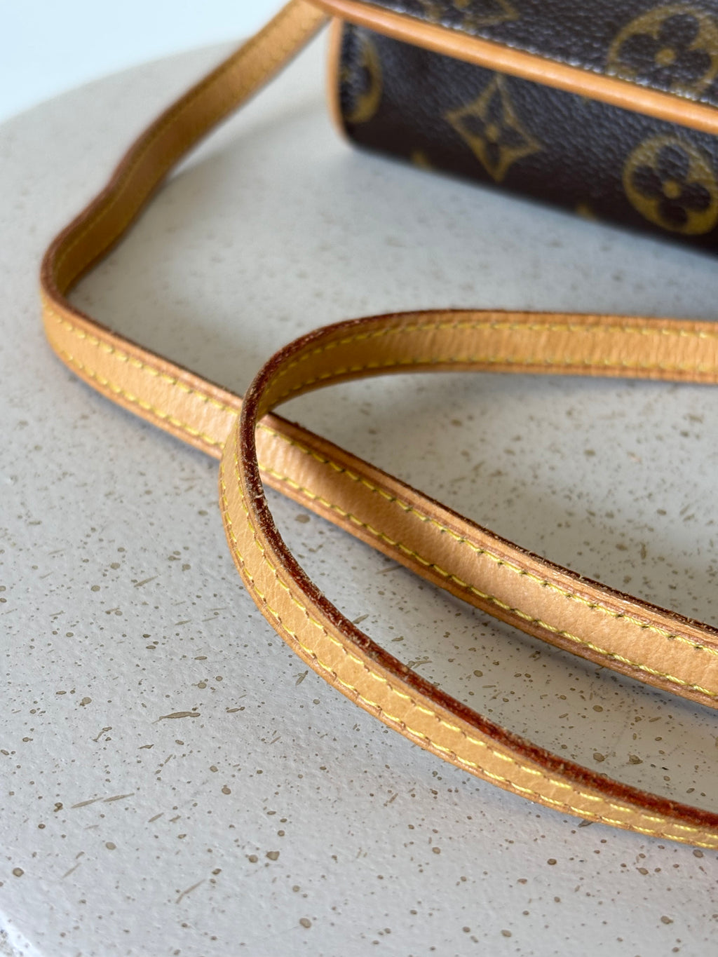 Louis Vuitton Twin GM