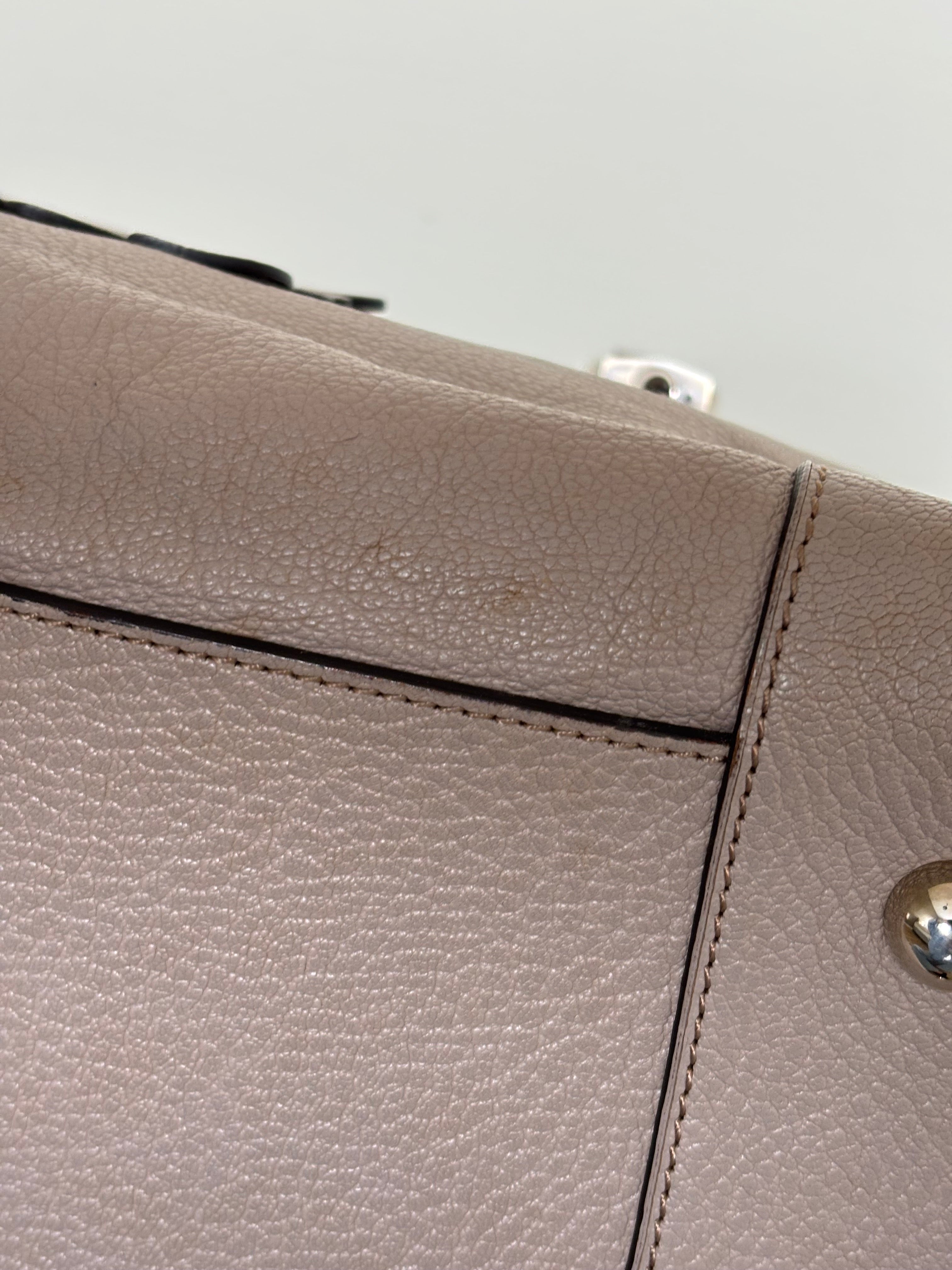 Loewe Amazona 36 Handbag