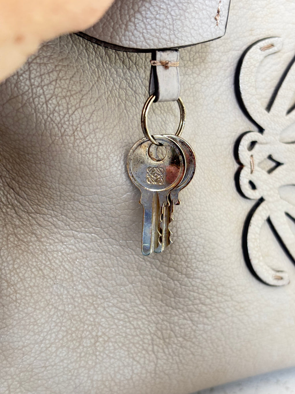 Loewe Amazona 36 Handbag