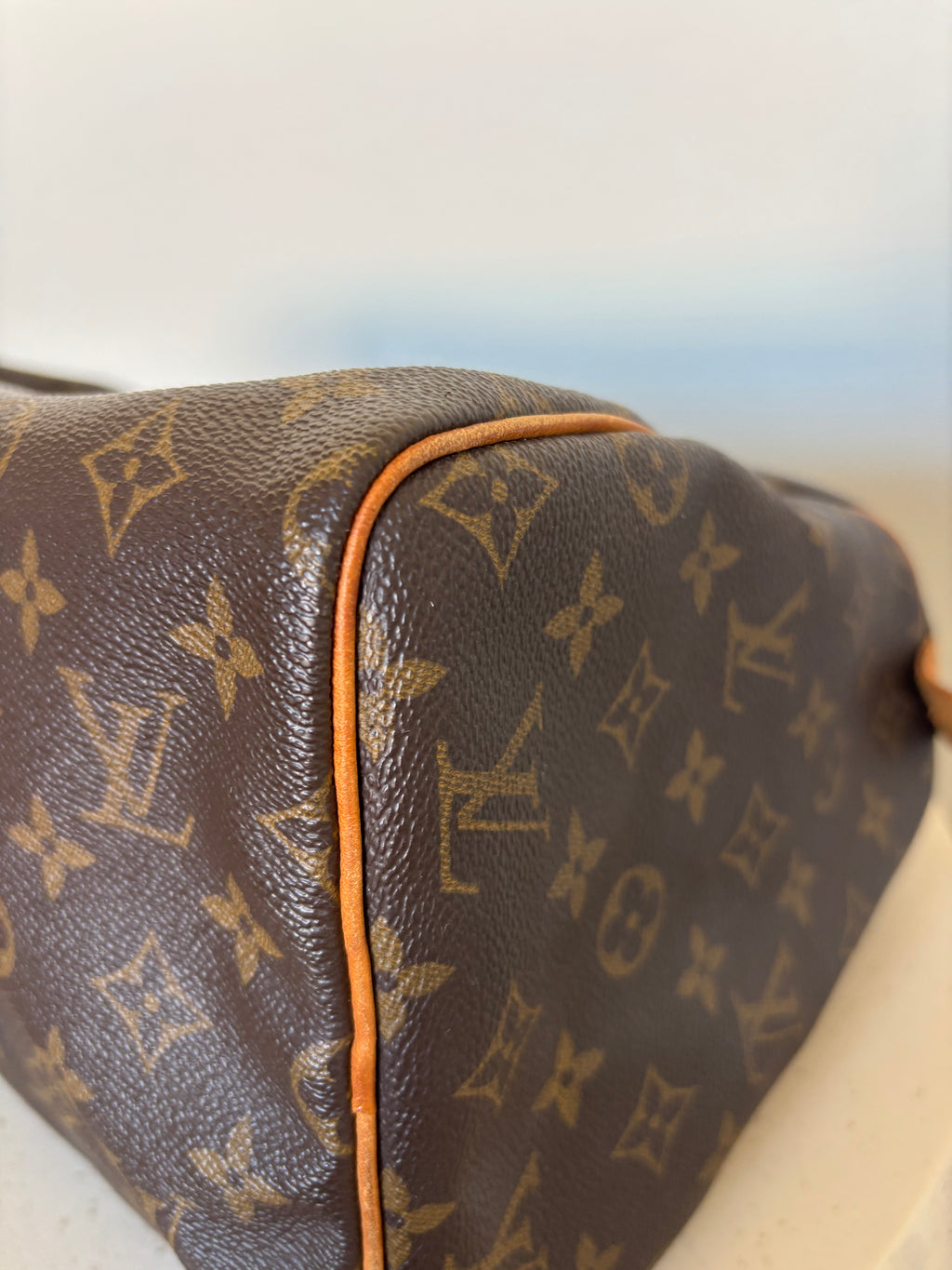 Louis Vuitton Speedy 30