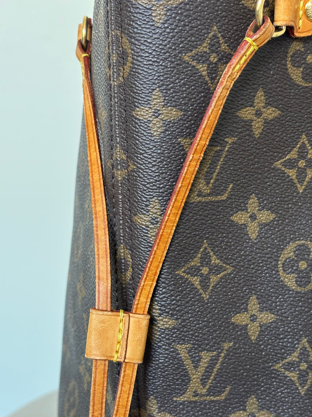 Louis Vuitton Neverfull MM